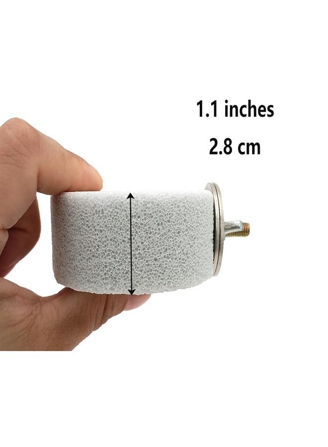 Shelltech Pumice Ledge Lava Ledge for Birds Chinchillas, Climbing Ledge Teeth Grinding Beak Grinding Block Perch Stand for Hamsters Chinchillas Parrots (Natural Color, S-Round 2 Pack) - Image 3